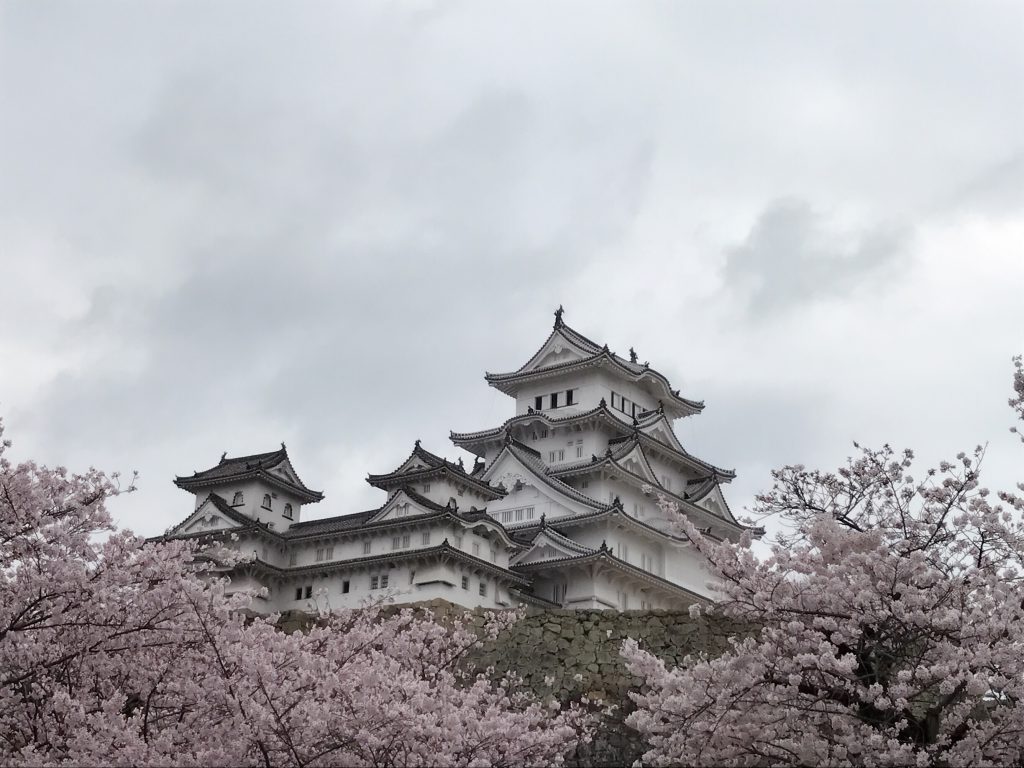 2017年の思い出④（姫路城と桜）