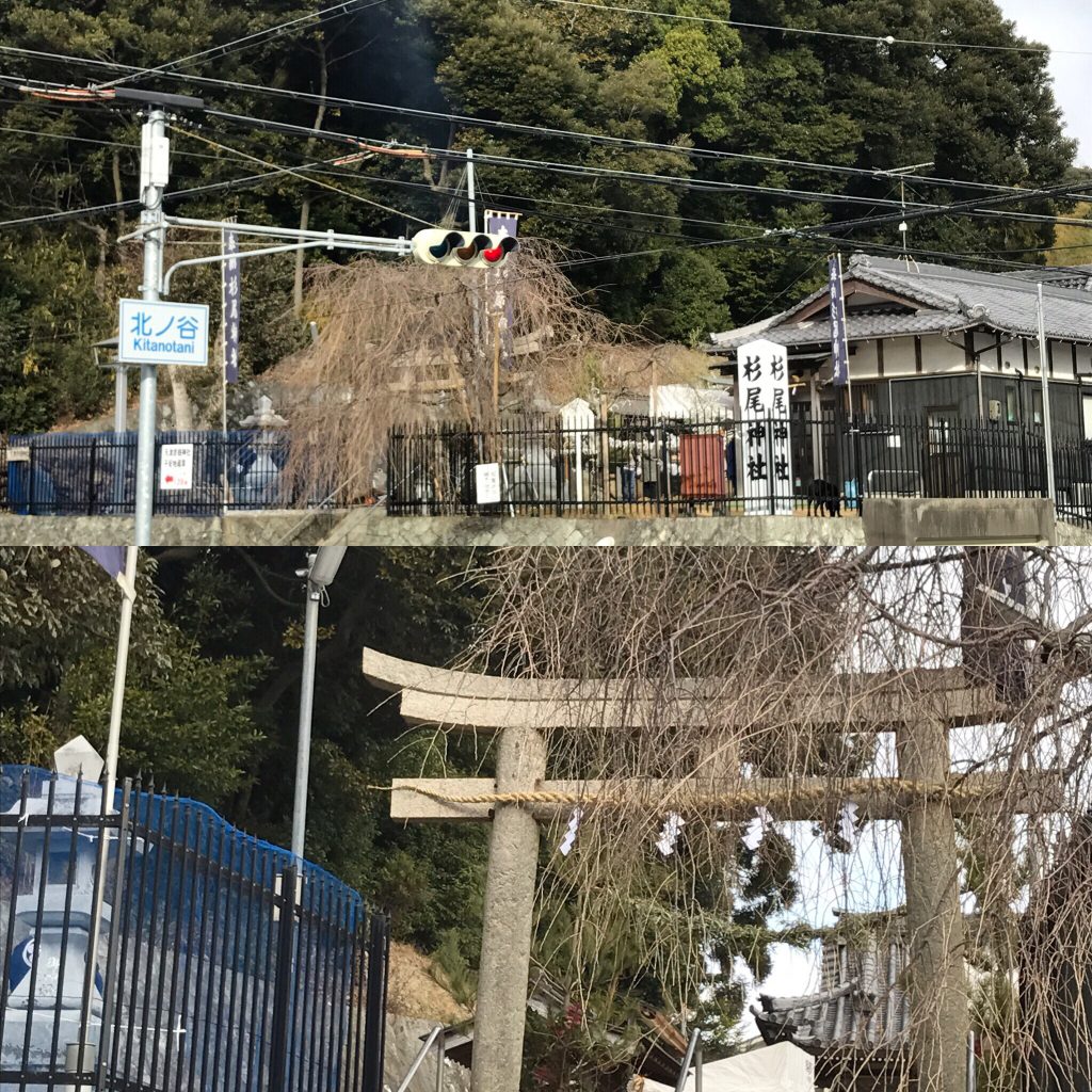 今年は戌年ですね♫（杉尾神社＆天津彦根神社）